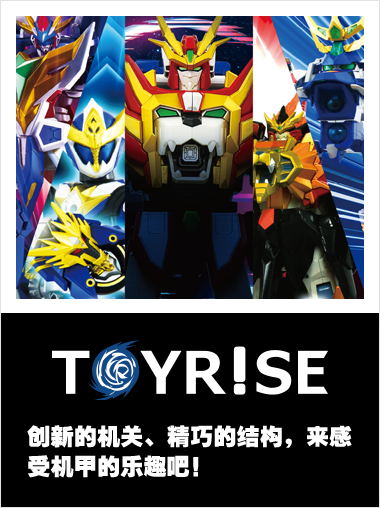 TOYRISE