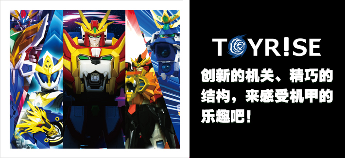 TOYRISE